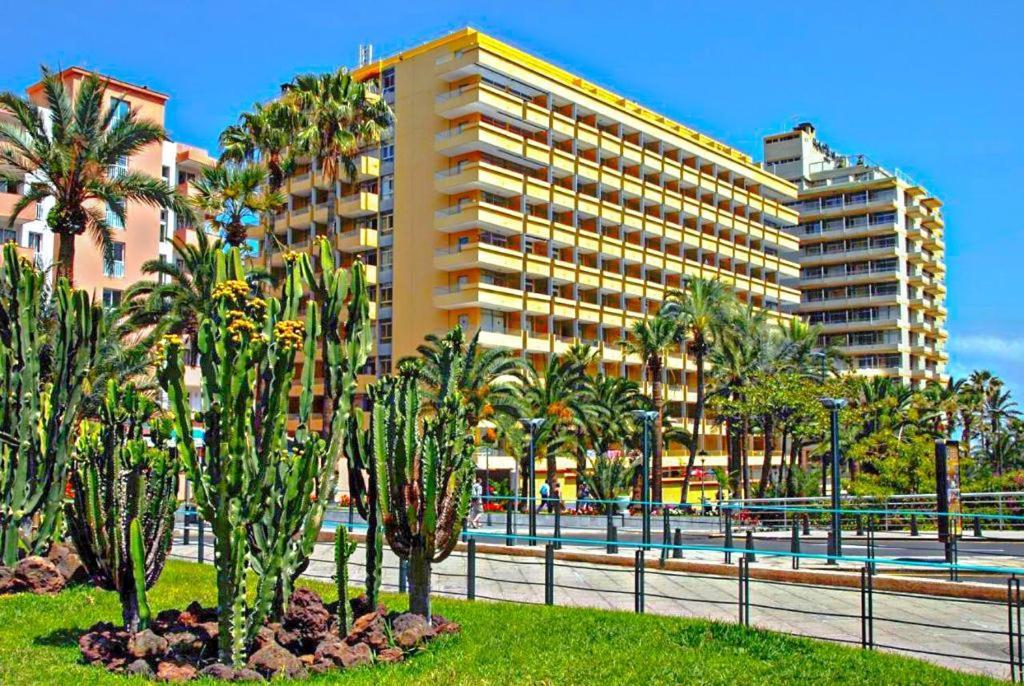 Estudio Para Dos En Martianez Puerto de la Cruz  Zewnętrze zdjęcie